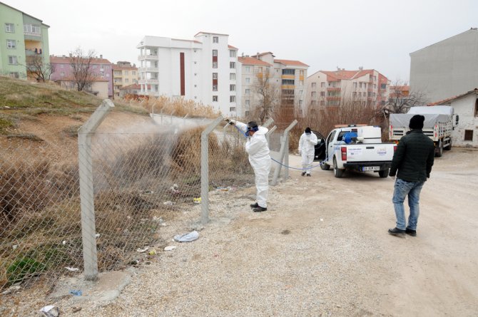 Kırşehir'de sivrisinek ve haşereyle mücadele
