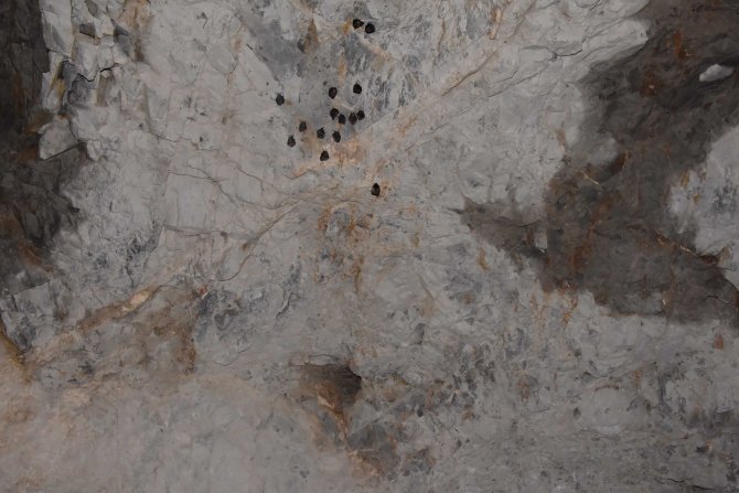 Havran'daki suni mağara yarasaların yuvası oldu