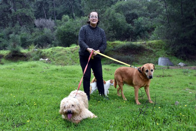 Sokak hayvanlarının doktor annesi