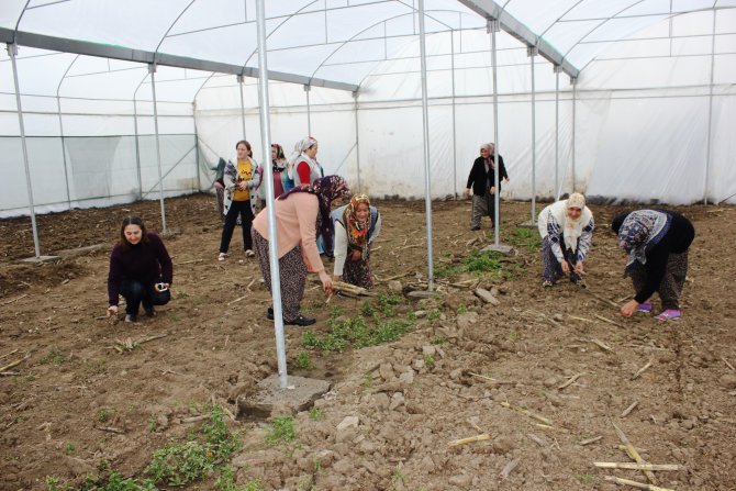 Çukurova kadın eliyle gül kokacak