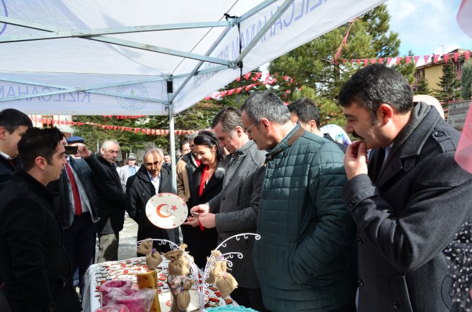 Zeytin Dalı Harekatı'na destek