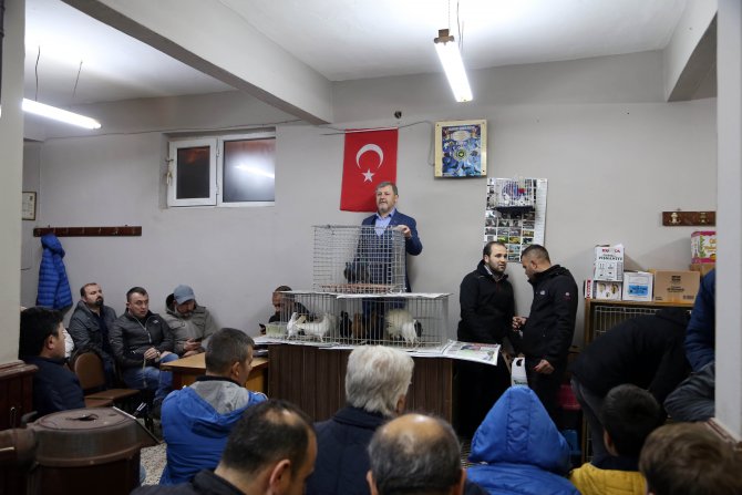 "Güvercin mezatı"nın geliri Mehmetçik'e