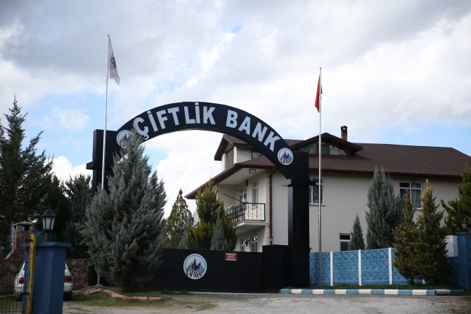GÜNCELLEME - "Çiftlik Bank" soruşturmasında tutuklama