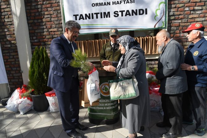 21 Mart Dünya Ormancılık Günü