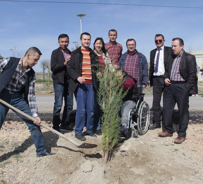 Beypazarı'nda öğrenciler fidan dikti