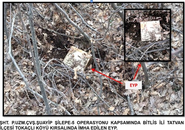 Bitlis'te terör örgütüne yönelik operasyon