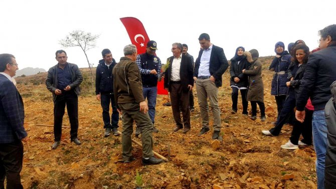 Seydişehir’de sağlık çalışanları fidan dikti