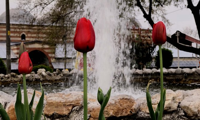 Edirne'de "lale devri"