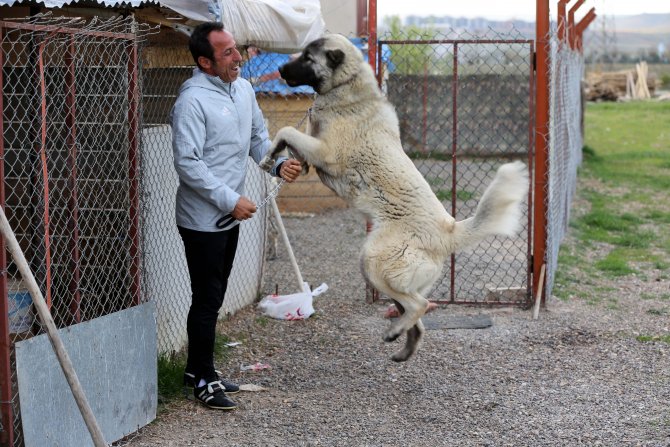 Sivasspor, Fenerbahçe maçına odaklandı