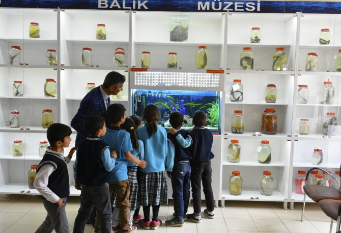 Tarım ve hayvanlarla içe içe eğitim