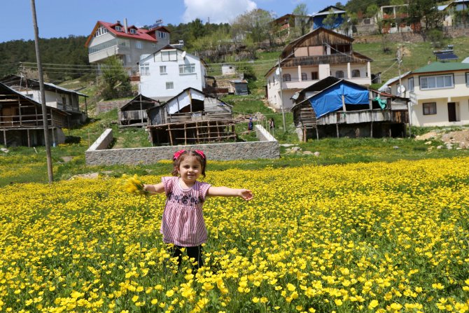 Eğriçimen Yaylası'nda ilkbahar güzelliği