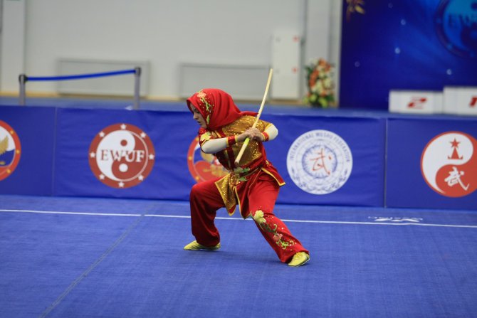 17. Avrupa Wushu Şampiyonası