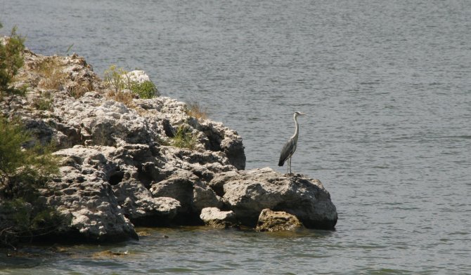 Nallıhan'da 5. Foto Safari yapılacak