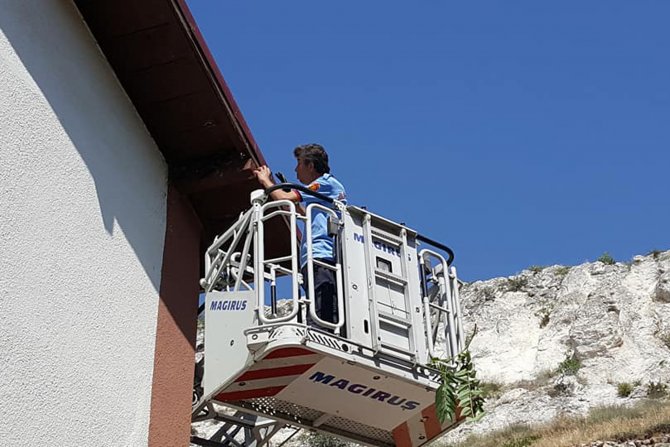 Boynuna ip dolanan kuşu itfaiye kurtardı
