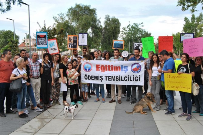 İzmir'de hayvanlara yönelik şiddete tepki