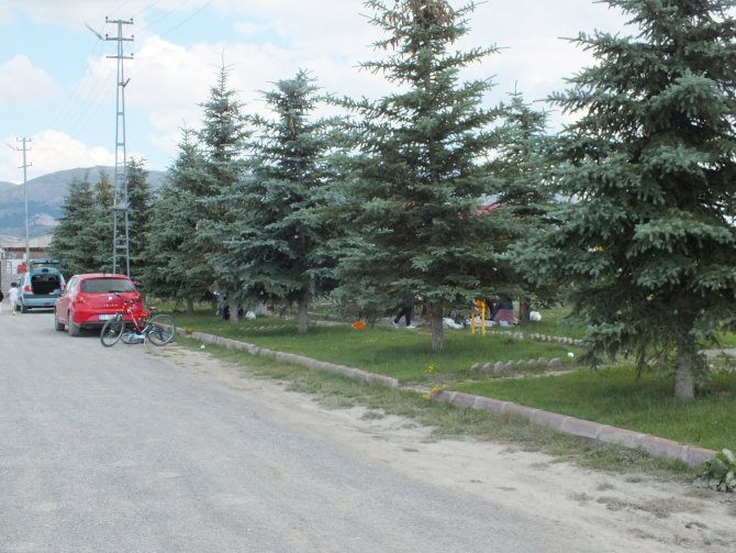 Ulaş Gölü piknikçileri bekliyor