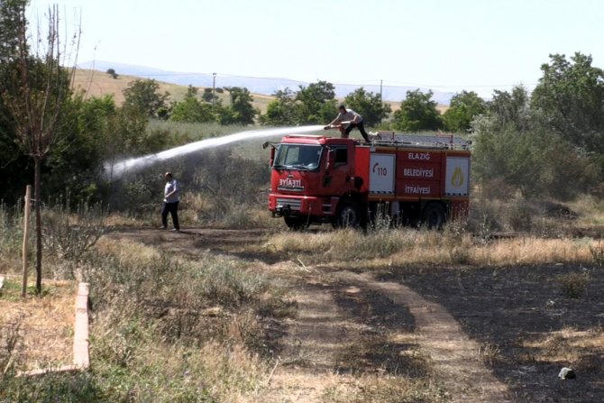 Elazığ'da buğday tarlasında yangın