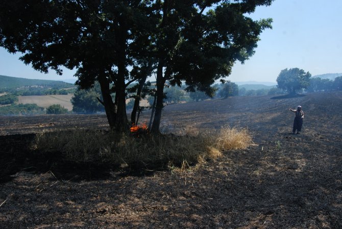 Çanakkale'de tarla yangını