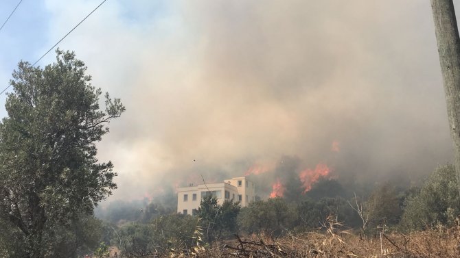 Bodrum'da otluk ve makilik alanda yangın