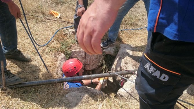 Kuyuya düşen danayı AFAD ekipleri kurtardı