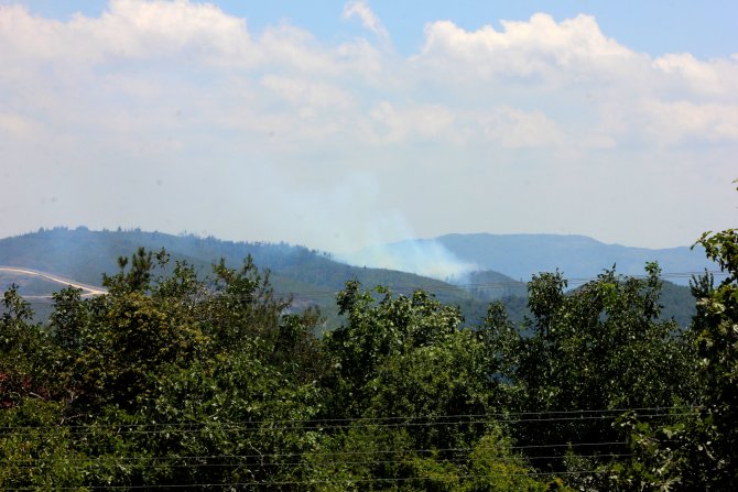 Suriye sınırında orman yangını