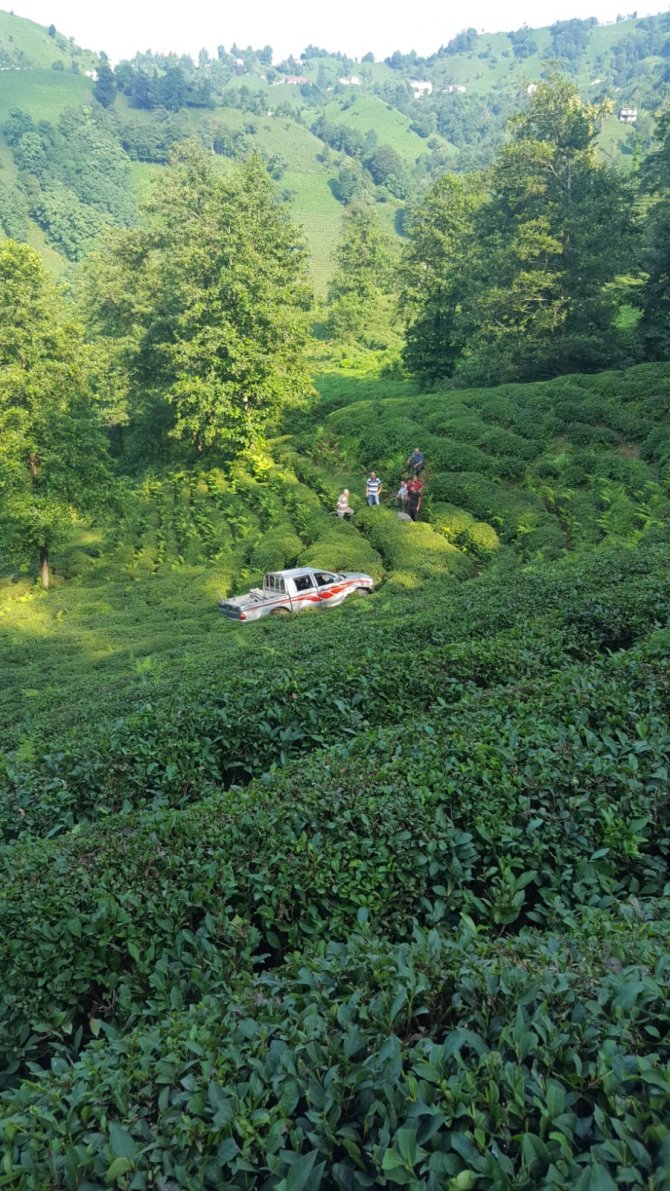 Çay tarlasına yuvarlanan kamyoneti kendi imkanlarıyla kurtardılar