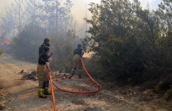 GÜNCELLEME İzmir'de orman yangını