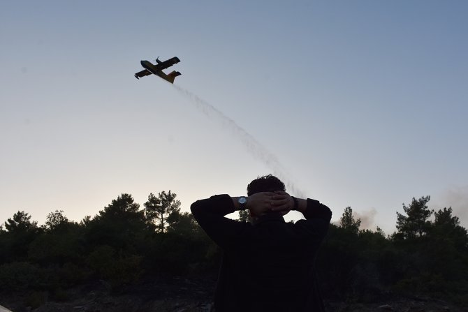 İzmir'deki orman yangını