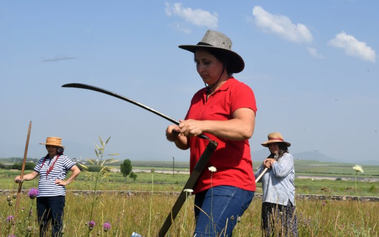 Kadınların "tırpan" mesaisi