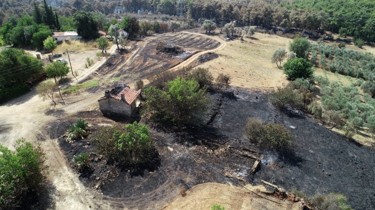 Antalya'daki orman yangınında zarar gören alan havadan görüntülendi