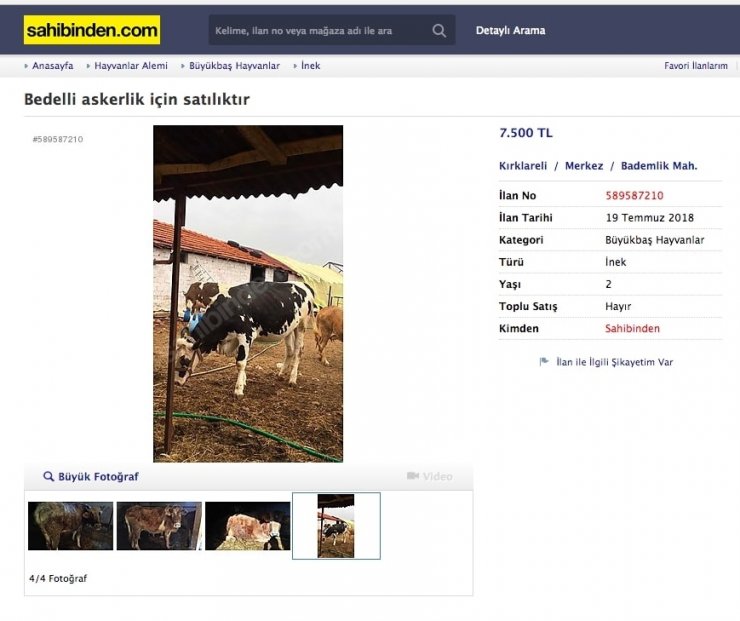 Bedelli askerlik inek sattırıyor