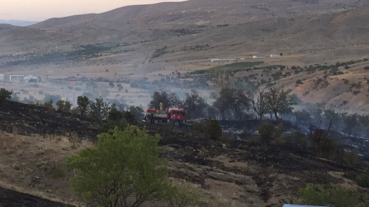 Keban'da otluk alanda çıkan yangında 100 dönüm arazi zarar gördü