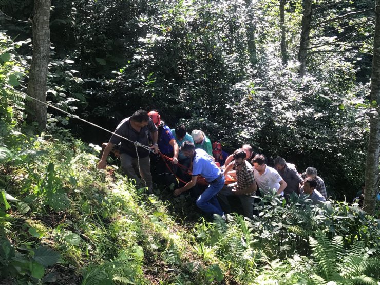 Rize'de dereye düşen kişi ağır yaralandı