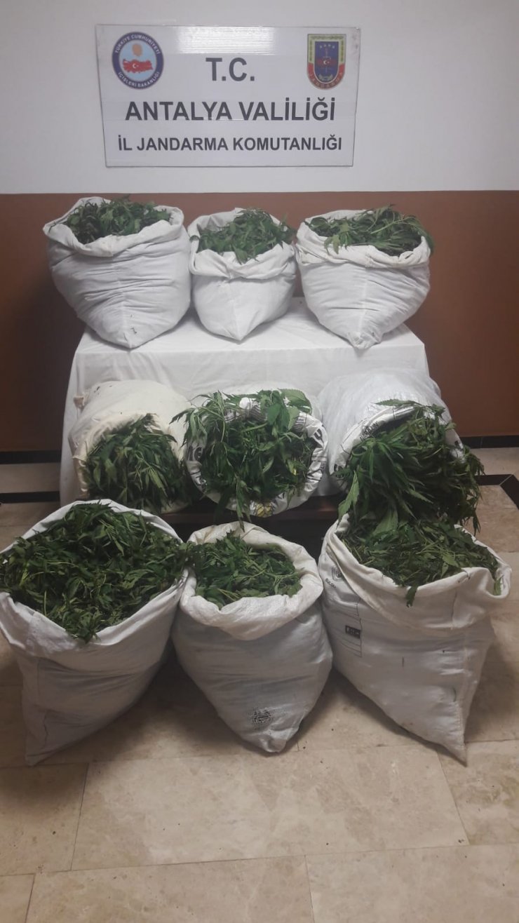 Antalya'da uyuşturucu operasyonu