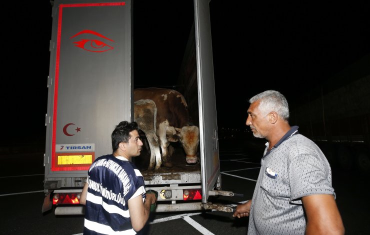 Kurban Bayramı'na doğru