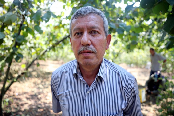 "Fındığı Türkiye'nin sahiplenmesi lazım"