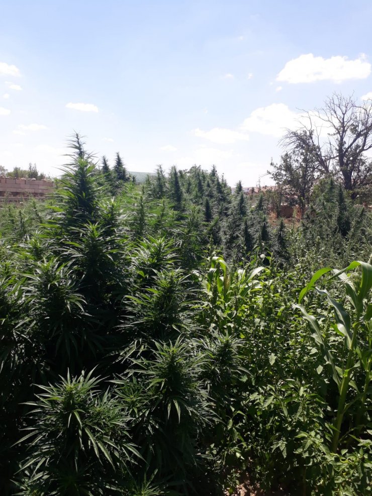 Konya'da uyuşturucu operasyonu