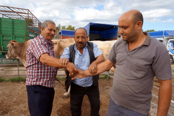Trakya'daki hayvan pazarlarında yoğunluk