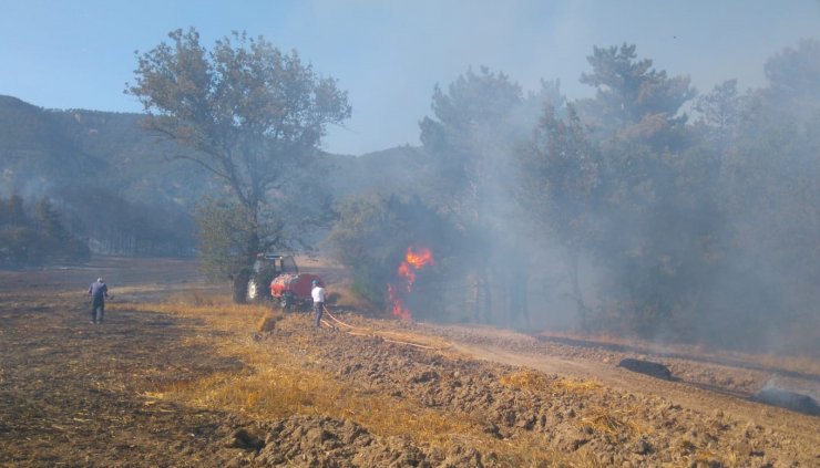 GÜNCELLEME - Bolu'da orman yangını