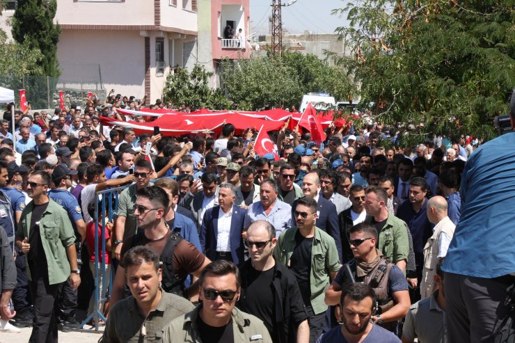 Deniz tutkunları Sinop açıklarına demirledi