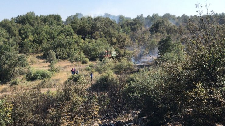 Bursa'da orman yangını