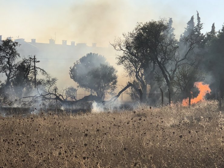Çanakkale'de otluk alanda yangın