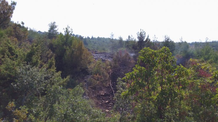 Hatay'da orman yangını