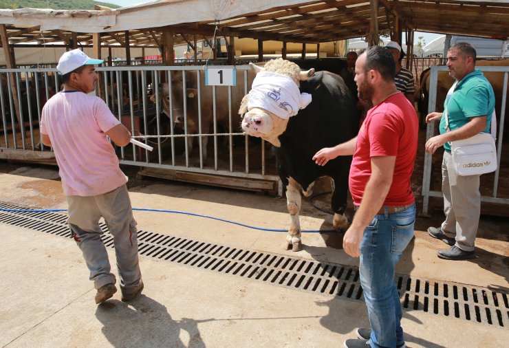 Kurban pazarlarında arife günü hareketliliği
