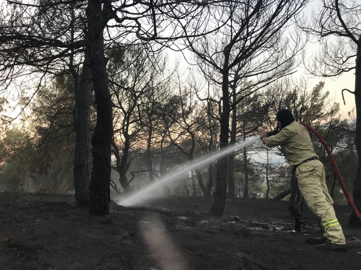 GÜNCELLEME - Kahramanmaraş'ta orman yangını