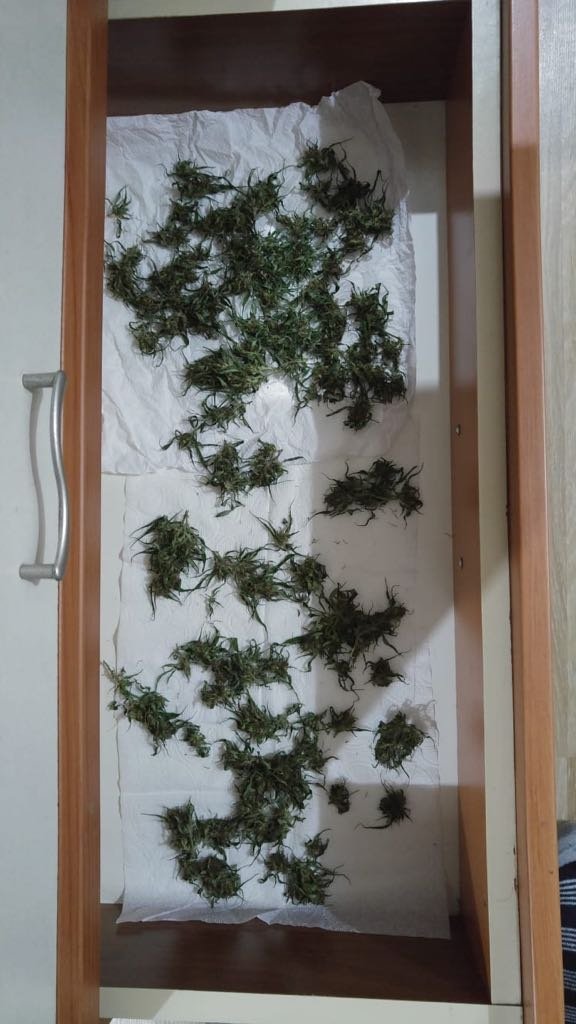 Cezaevi firarisi Bolu'da yakalandı