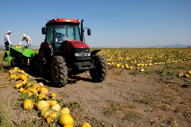 Seydişehir'den kısa kısa