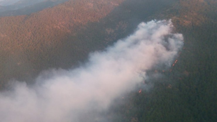 Hatay'daki orman yangını