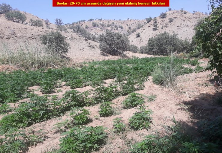 Diyarbakır'daki terör operasyonu