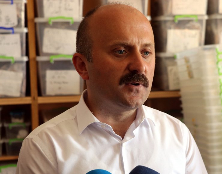 Oluz Höyük'te 2 bin 500 Yıllık Pers sarayı bulundu